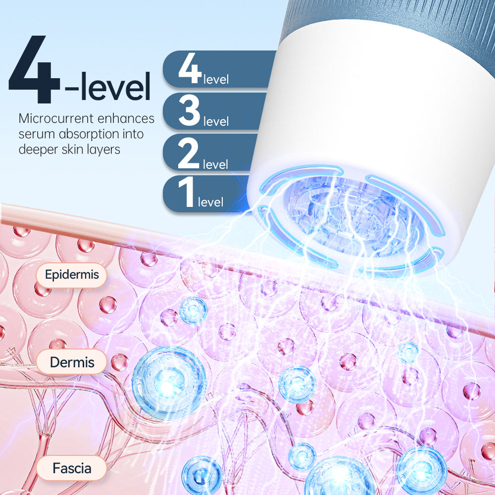 Illustration des quatre niveaux EMS du H5 avec schéma de peau en coupe